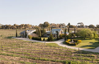 Photo 1 - Barossa Shiraz Estate