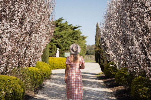 Photo 51 - Barossa Shiraz Estate