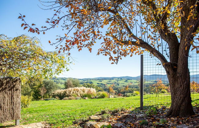 Vivere Retreat - Foto 49