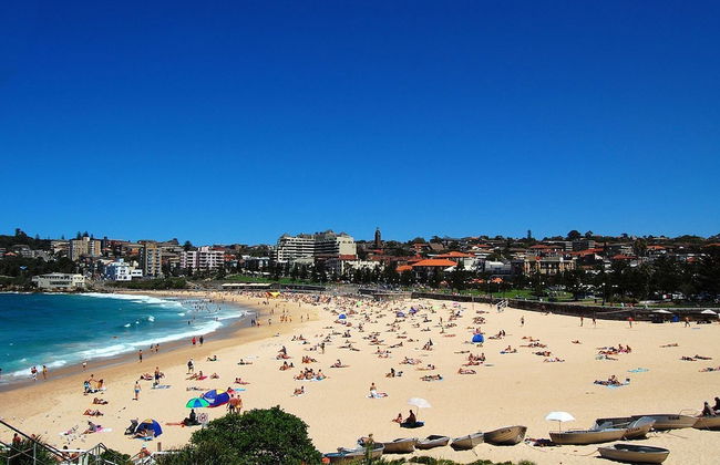 Comfy Coogee Living H328 - Foto 18