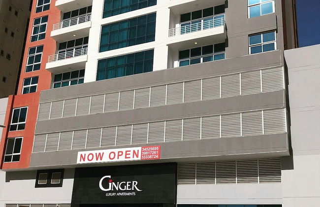 Ginger Luxury Apartments - Foto 35