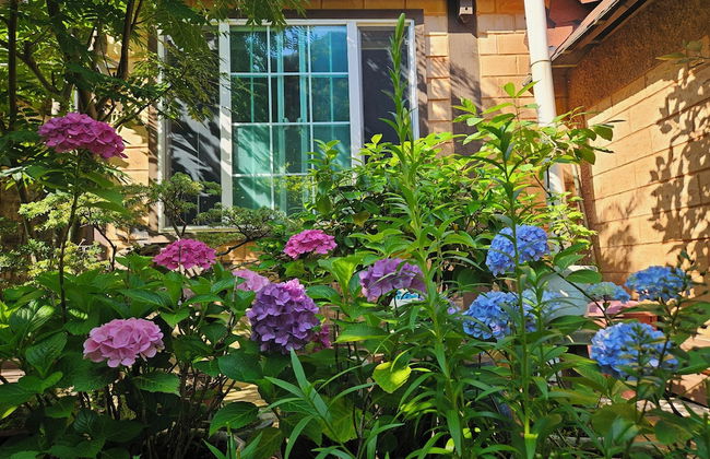Ulleung Haeoreum Pension - Photo 69