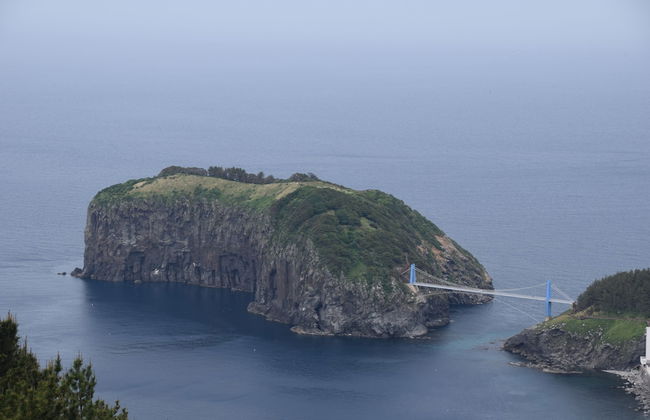 Ulleung Haeoreum Pension - Photo 77