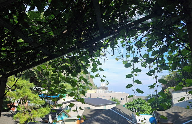 Ulleung Haeoreum Pension - Photo 70