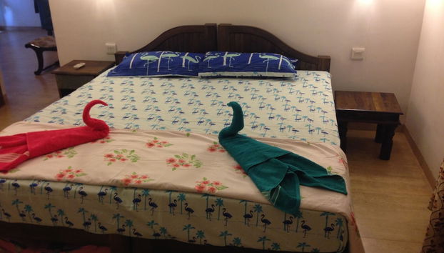 Quarto