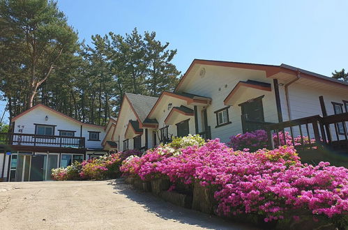 Photo 44 - Haesol Maru Pension Taean