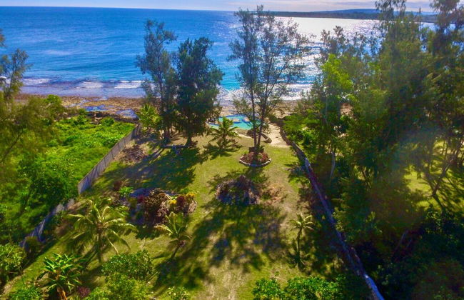 Tropical Haven - Photo 19