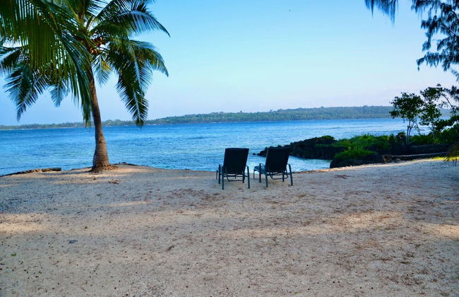 Tropical Haven - Photo 16