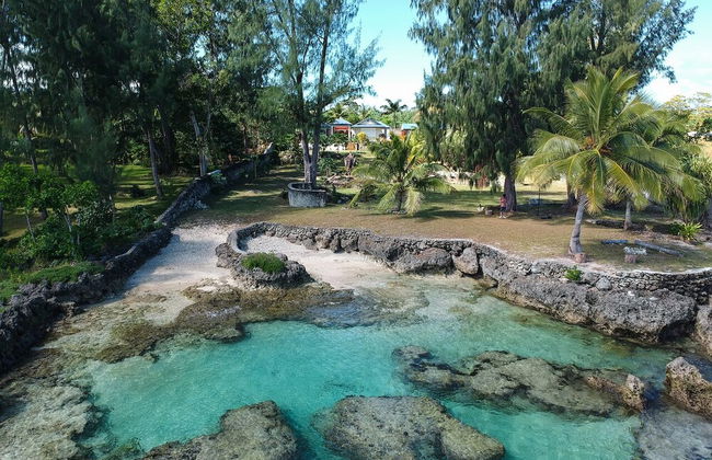 Tropical Haven - Photo 15
