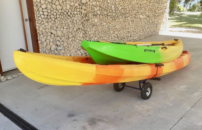 Tropical Haven - Photo 12