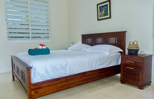 Tropical Haven - Photo 3