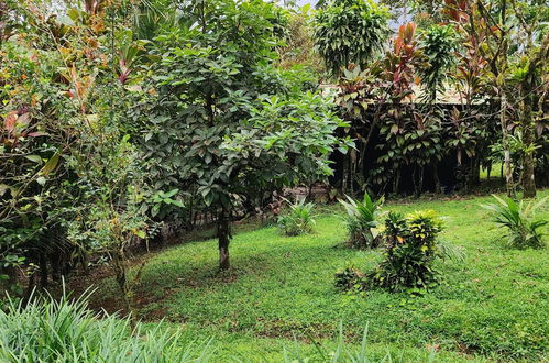 Photo 78 - Rio Celeste Nature View