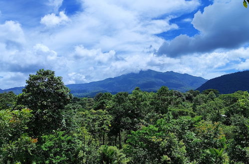 Photo 40 - Rio Celeste Nature View