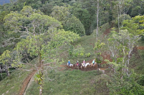 Photo 65 - Rio Celeste Nature View