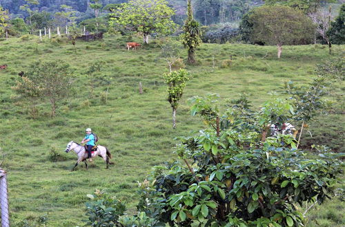 Foto 47 - Rio Celeste Nature View