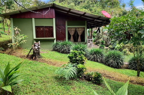 Photo 8 - Rio Celeste Nature View