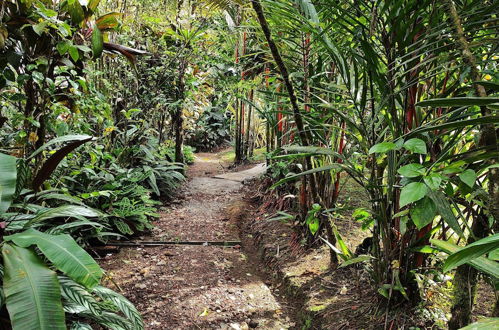 Photo 77 - Rio Celeste Nature View