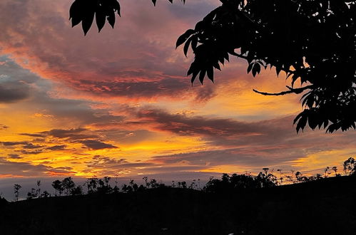 Photo 51 - Rio Celeste Nature View