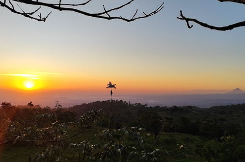 Photo 30 - Rio Celeste Nature View