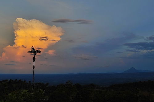 Photo 68 - Rio Celeste Nature View