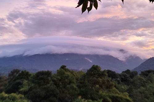 Photo 53 - Rio Celeste Nature View