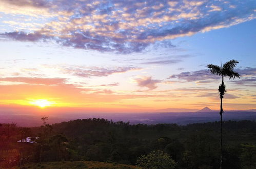 Photo 32 - Rio Celeste Nature View