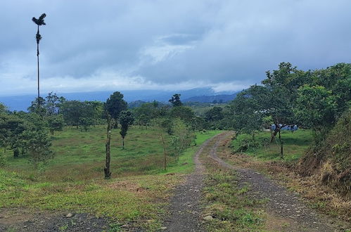 Photo 62 - Rio Celeste Nature View