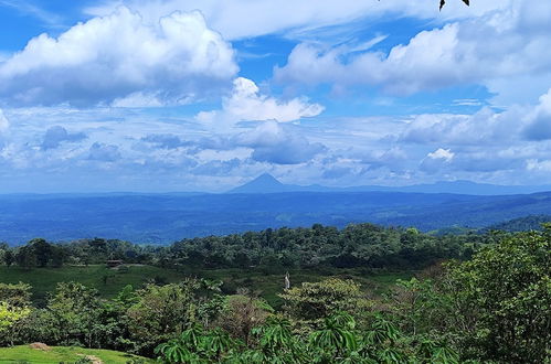 Photo 70 - Rio Celeste Nature View