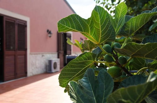 Photo 40 - Sicily Country House & Beach