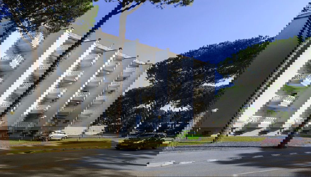 Imagem principal