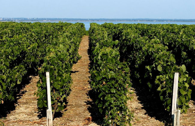 VVF Soulac-sur-Mer Bordeaux Médoc - Foto 28