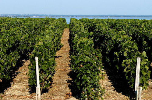 Photo 28 - VVF Soulac-sur-Mer Bordeaux Médoc