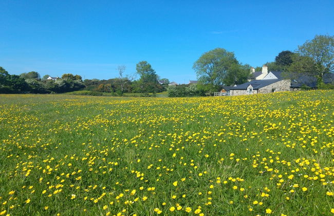 The Barn at Cae Bach - Foto 19