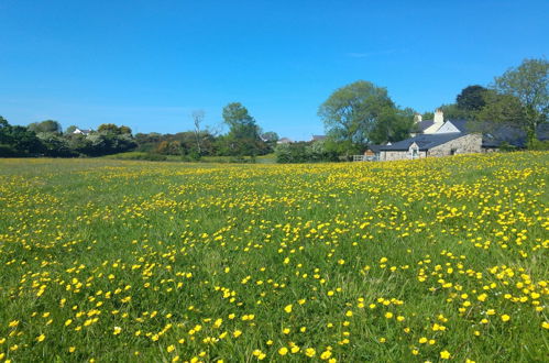 Photo 19 - The Barn at Cae Bach