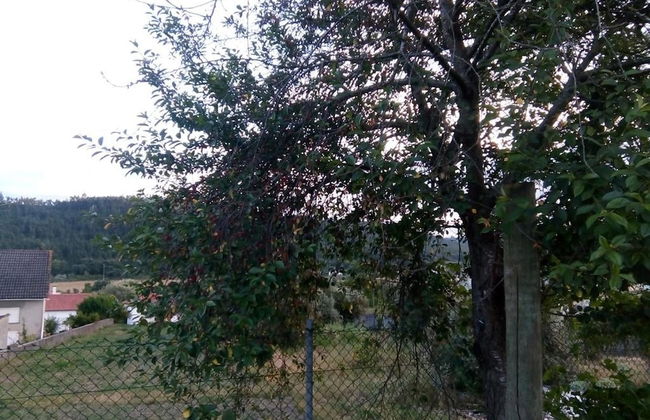 Apartment With 2 Bedrooms in Urqueira, With Wonderful Mountain View, Pool Access, Enclosed Garden - Foto 26