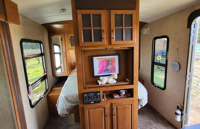 Glamping With Llamas - Foto 4