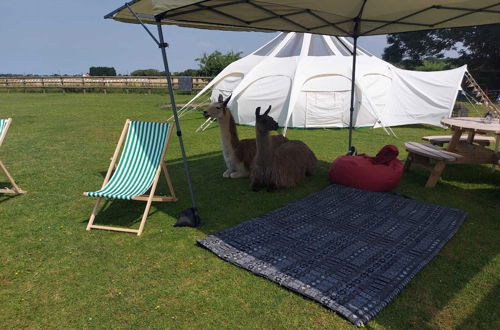 Foto 55 - Glamping With Llamas