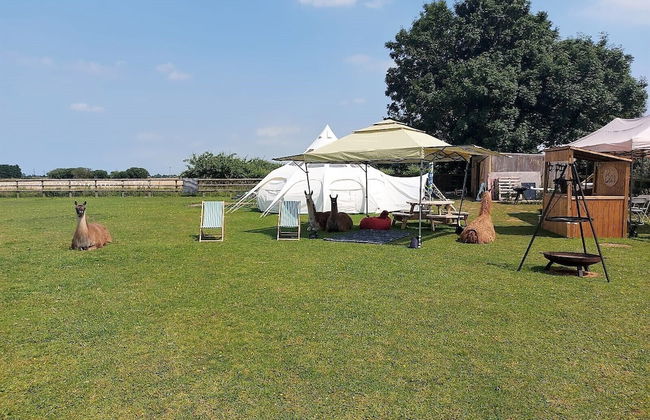 Glamping With Llamas - Foto 65
