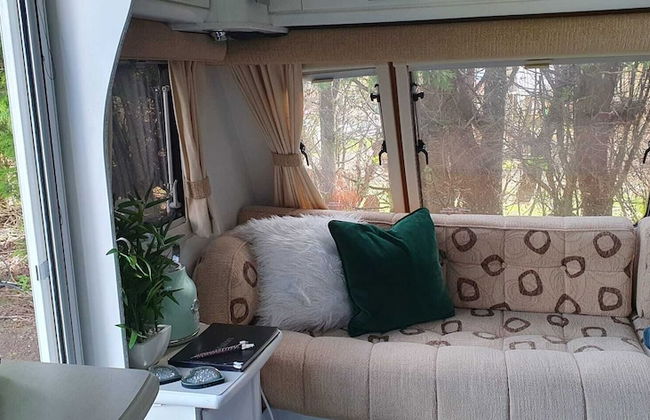 Glamping With Llamas - Foto 48