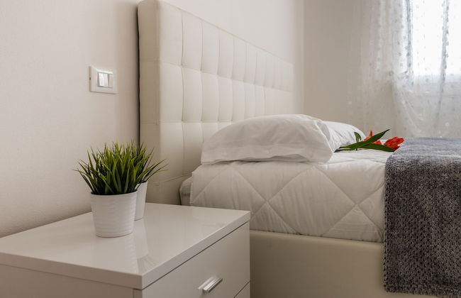 Cimadolmo Prosecco and History - Foto 13