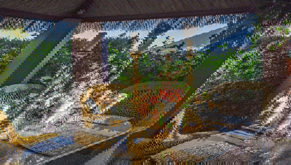 Image principale