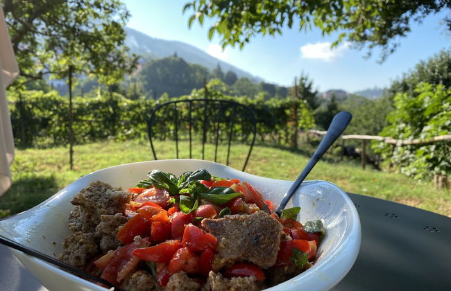 Tenuta Novecento Bio Agriturismo - Foto 71