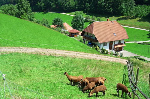 Photo 21 - Apartment in Hofstetten Surrounded by Nature