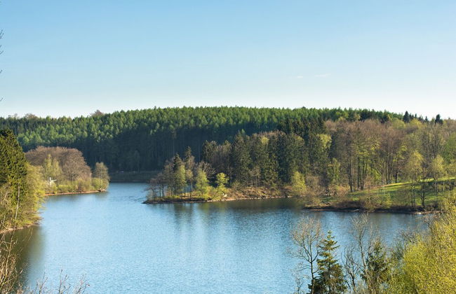 Luxury Holiday Home With Sauna Near Forest in Ovifat - Foto 36