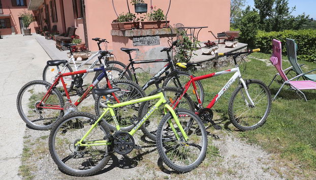 Ciclismo