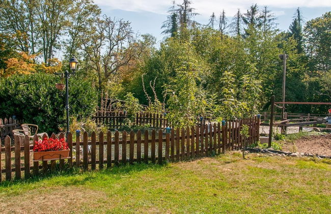 Charming Holiday Home in Houyet Near Forest - Photo 36