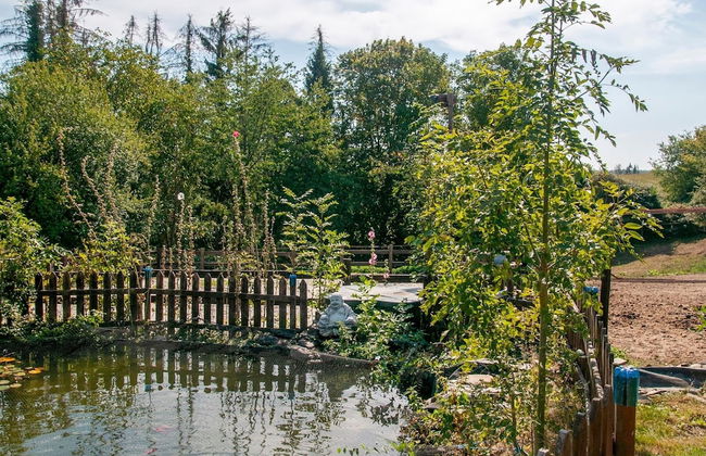 Charming Holiday Home in Houyet Near Forest - Photo 29