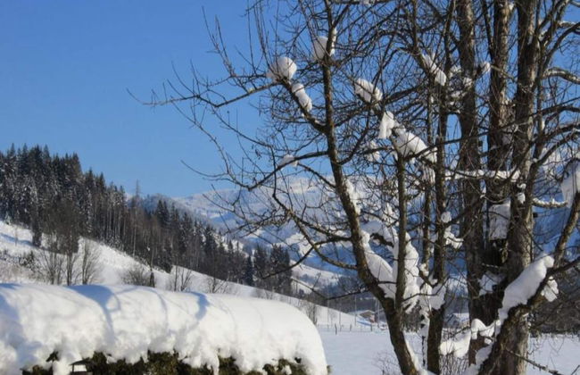 Studio in Kleinarl Near Ski Amade Slopes - Foto 24