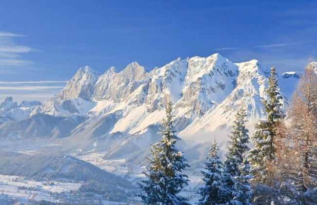 Studio in Kleinarl Near Ski Amade Slopes - Foto 37