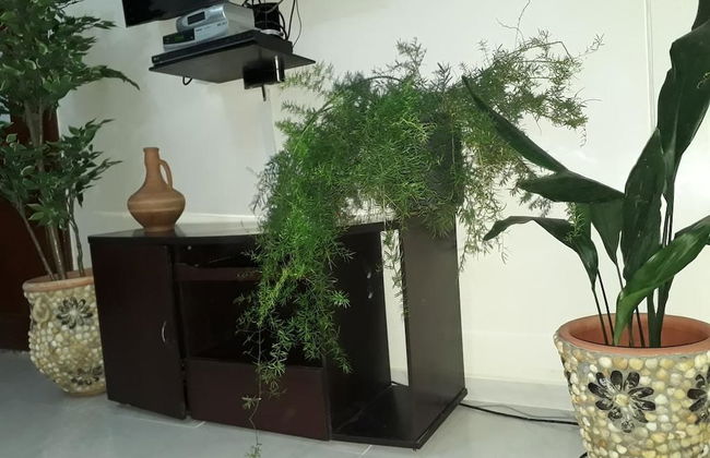 Train station apartment Casa Voyageur - Photo 16